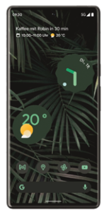 Google Pixel 6pro
